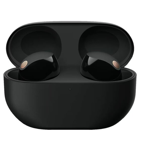 Sony - WF1000XM5 True Wireless Noise Cancelling Earbuds - Black - Picture 1 of 11